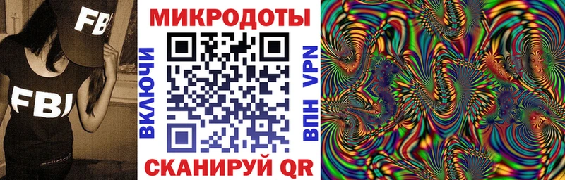Купить где  Ельня  Псилоцибиновые грибы Psilocybine cubensis 
