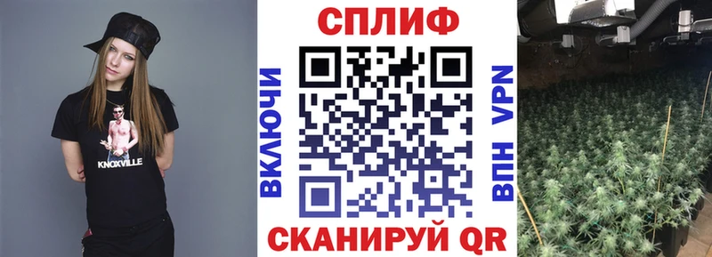 Купить Ельня Конопля семена